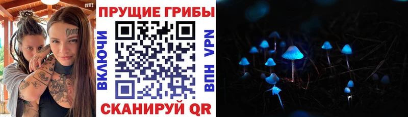 Псилоцибиновые грибы Psilocybine cubensis  Усть-Илимск 